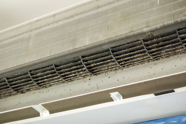 Best Affordable Air Duct Cleaning  in Narberth, PA